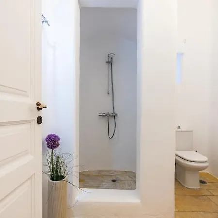 Villa Artisti Mykonos Agrari (Mykonos)