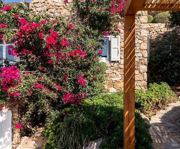 וילה Artisti Mykonos